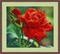 Набор для вышивания бисером «Красная роза» - фото 4635